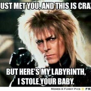 Meet your Posher, Leslie